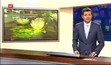 Giardina 2013 in der Tagesschau auf SRF