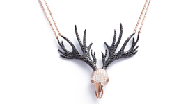 Aspire Design: Wild At Heart