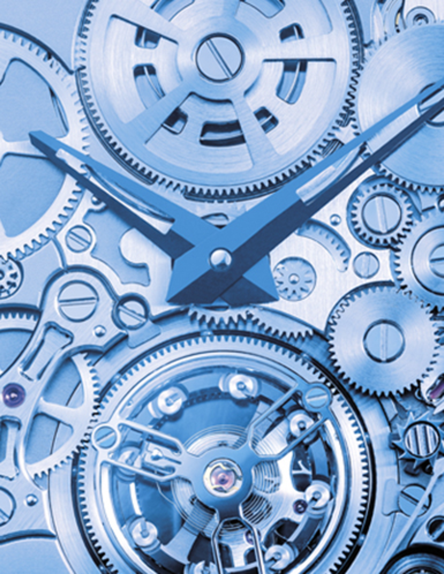 FEDERATION OF THE SWISS WATCH INDUSTRY FH