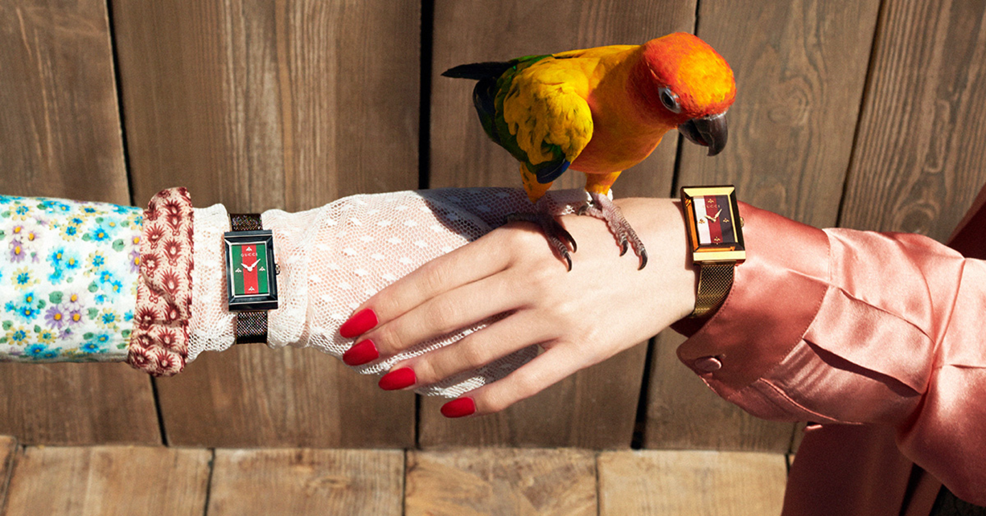 Gucci Timepieces & Jewelry