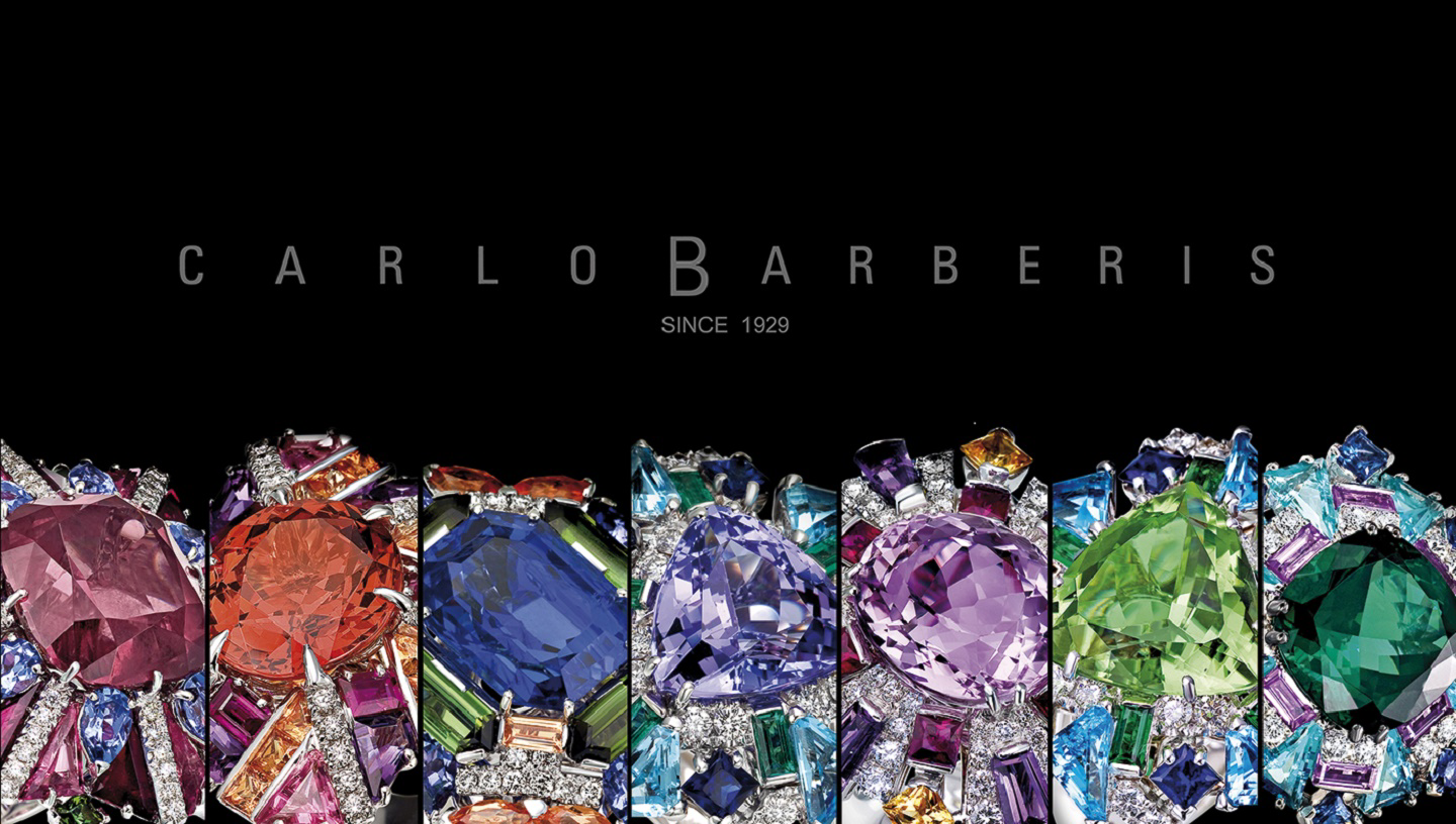 Carlo Barberis s.r.l.