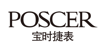 Shenzhen Ruihui Watch Industry Co. Ltd (SWCA)