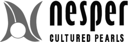 Heinz Nesper GmbH