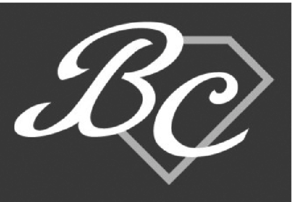 The Big City Jewellery Ltd.