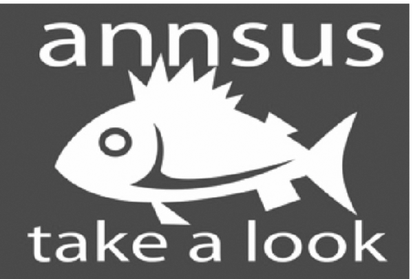 annsus - take a look